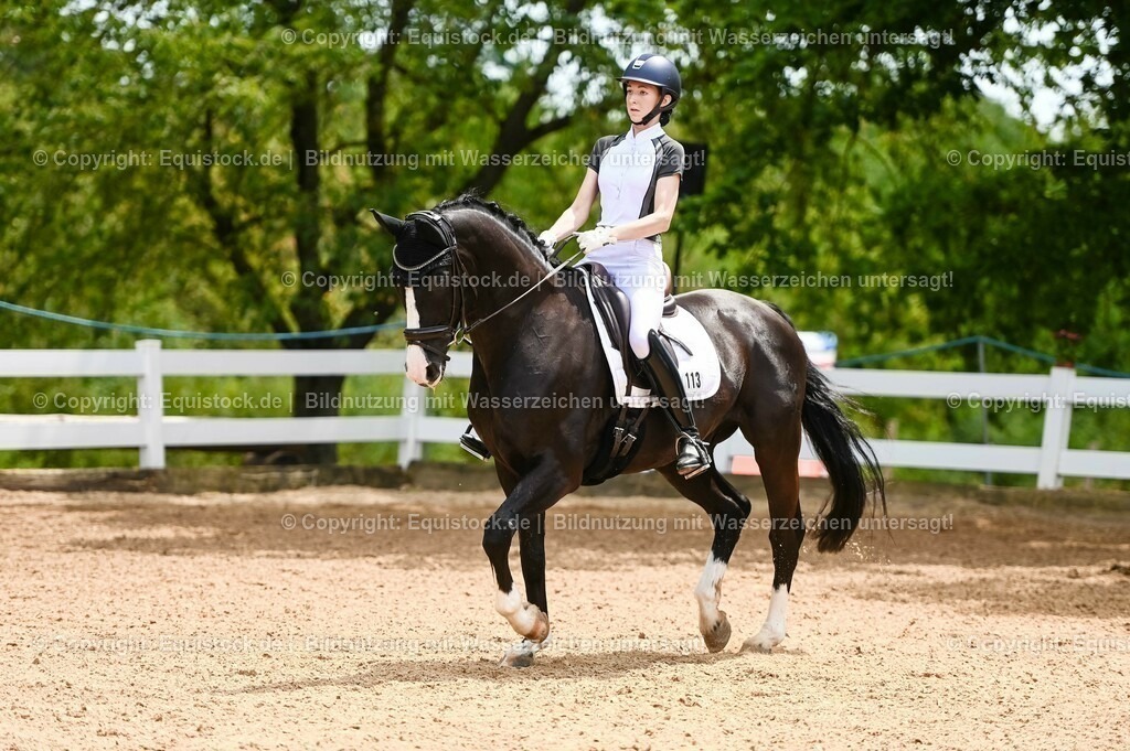 20230715_05_Dressurprüfung Kl.A++_0177 | equistock