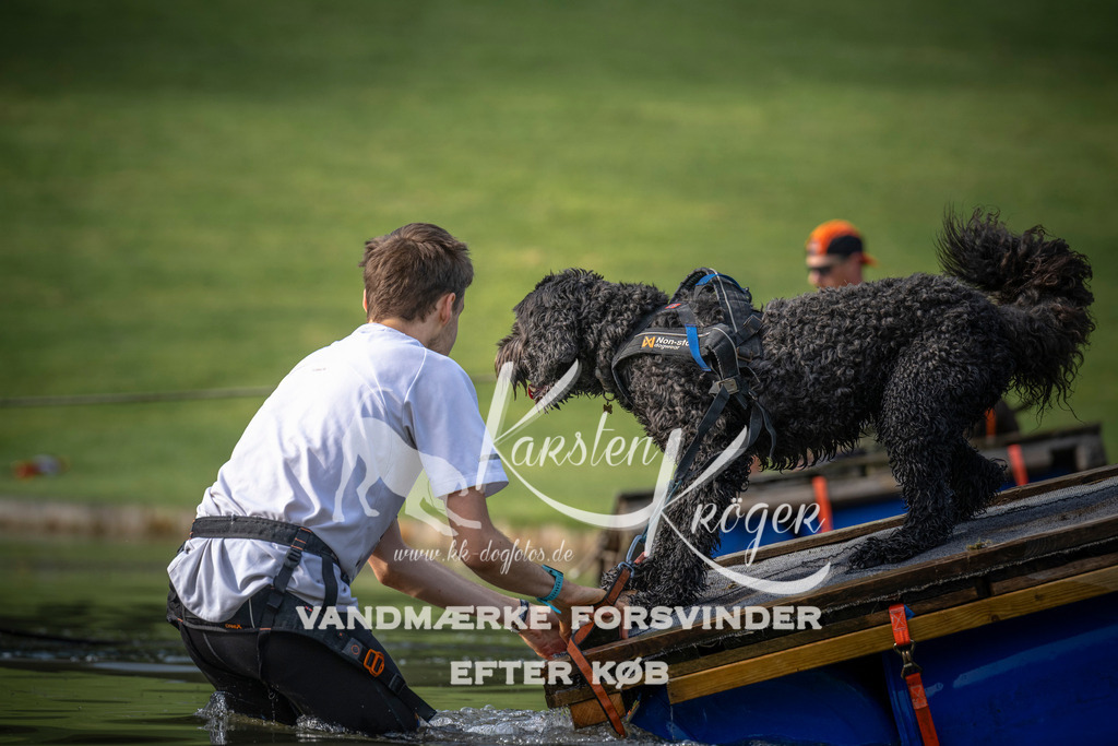 _ZZ933610704 | kk-dogfotos