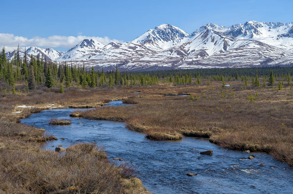 Alaska | Denali Highway - Realisiert mit Pictrs.com
