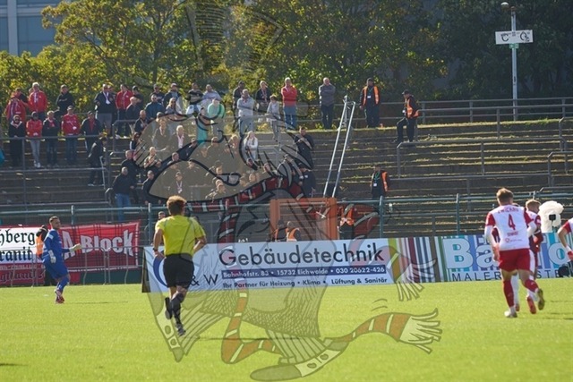 BFC Dynamo vs. FSV Zwickau 060 | mythos-online-redaktion