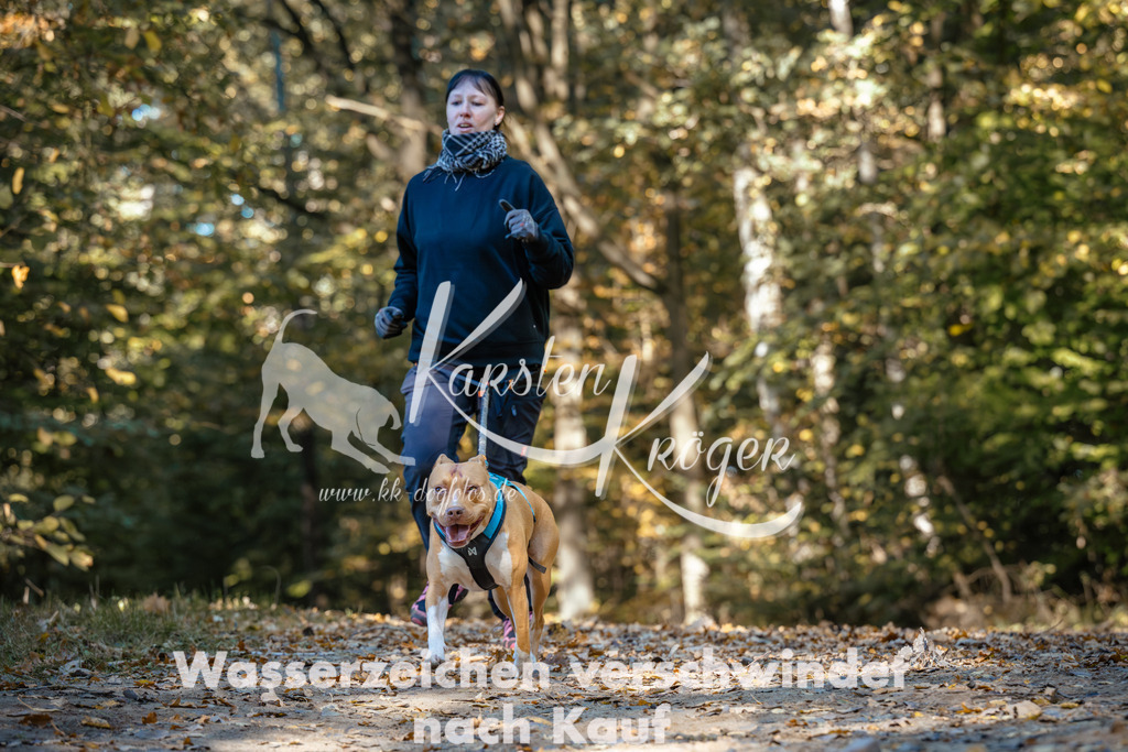 1122_ZZ92212 | kk-dogfotos