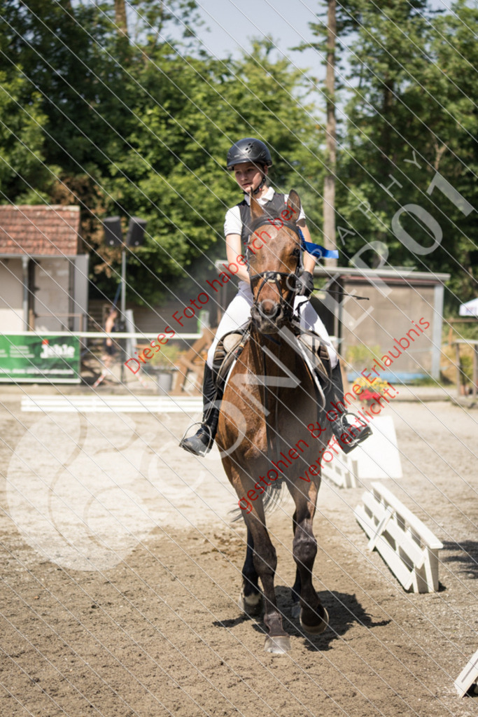 IMG_4775 | Sport-, Event- und Tierfotos in Profiqualität. Einfach auswählen, bestellen und herunterladen. Dein Moment – perfekt festgehalten.