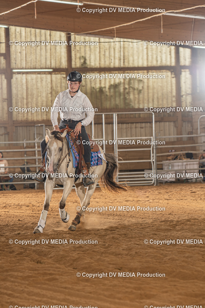 NID02083 | dv-media-shop - Realisiert mit Pictrs.com