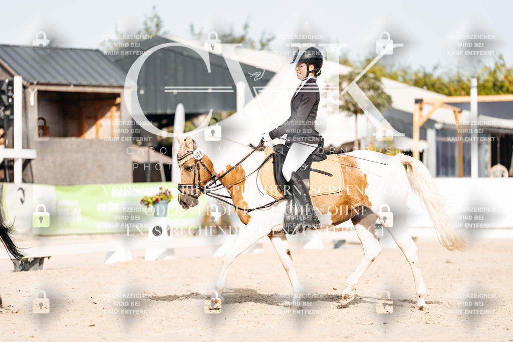 CK904842 | Turnierfotografie Pferdefotografie Trier Rheinland-Pfalz Pferdesport Reitsport Tierfotografie Sportfotografie Pferdevideo Pferdevideografie Equestrianvideography equestrianphotography  - Realisiert mit Pictrs.com