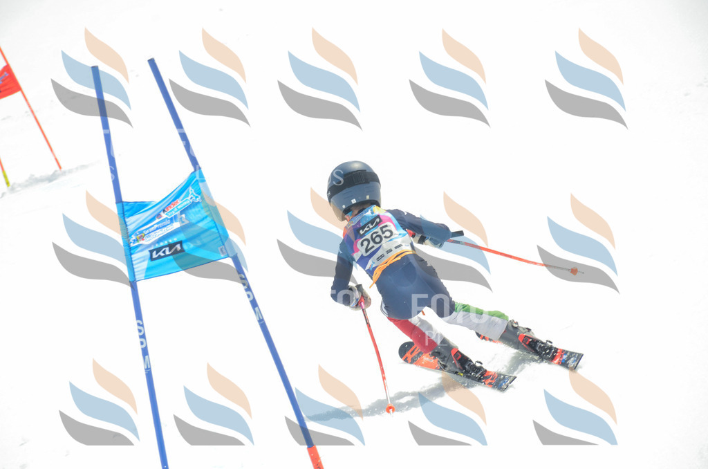 _ELE7727 | holidayphoto