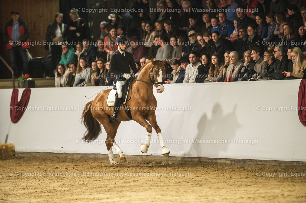 20240302_Hengstvorstellung_Marbach_TOMsPiC_0524 | equistock