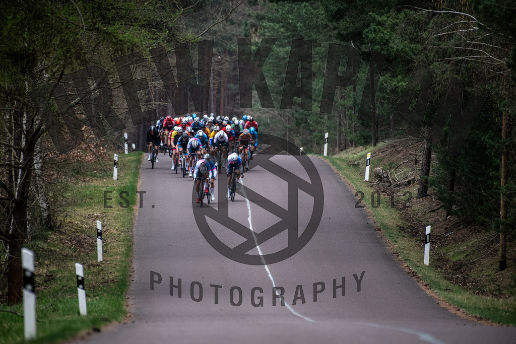 DKP-6190 | Drew Kaplan Photography