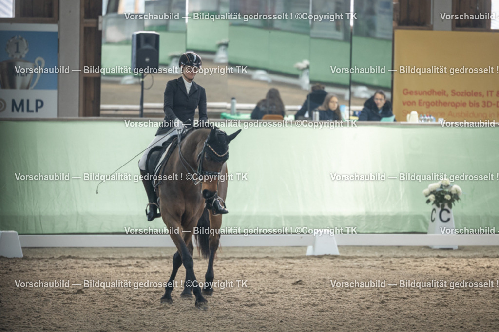 _D5A4355 | Emotionale Pferde- & People-Fotografie rund um Heidelberg, Leimen & Umgebung. Natürliche Fotos von Pferd, Mensch & Familie. Jetzt Termin sichern!