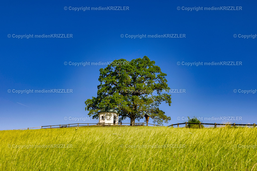 Aussichtskapelle Samerberg | medienkrizzler - Realisiert mit Pictrs.com