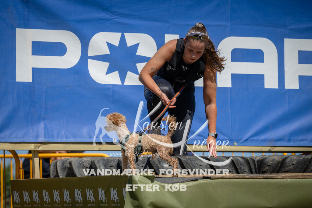 1321_ZZ98717 | kk-dogfotos