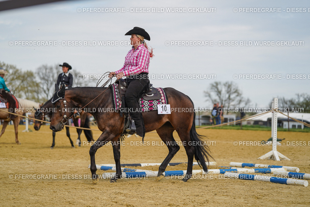 DSC05240 | Pferdegrafie