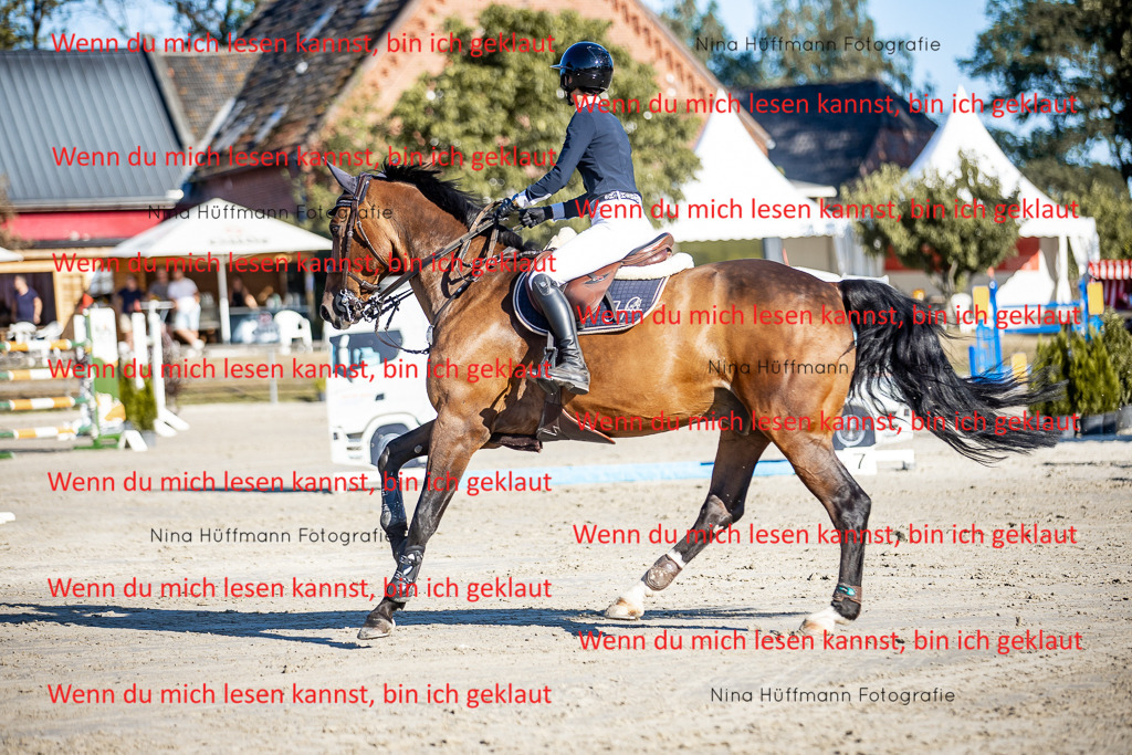 BK1A8200 | Turnierbilder Turnierfotos Nina Hüffmann Turnierfotografie Pferdefotografie Tierzeichnung Haustierzeichnung Pferdezeichnung Hundezeichnung Videograf  - Realisiert mit Pictrs.com