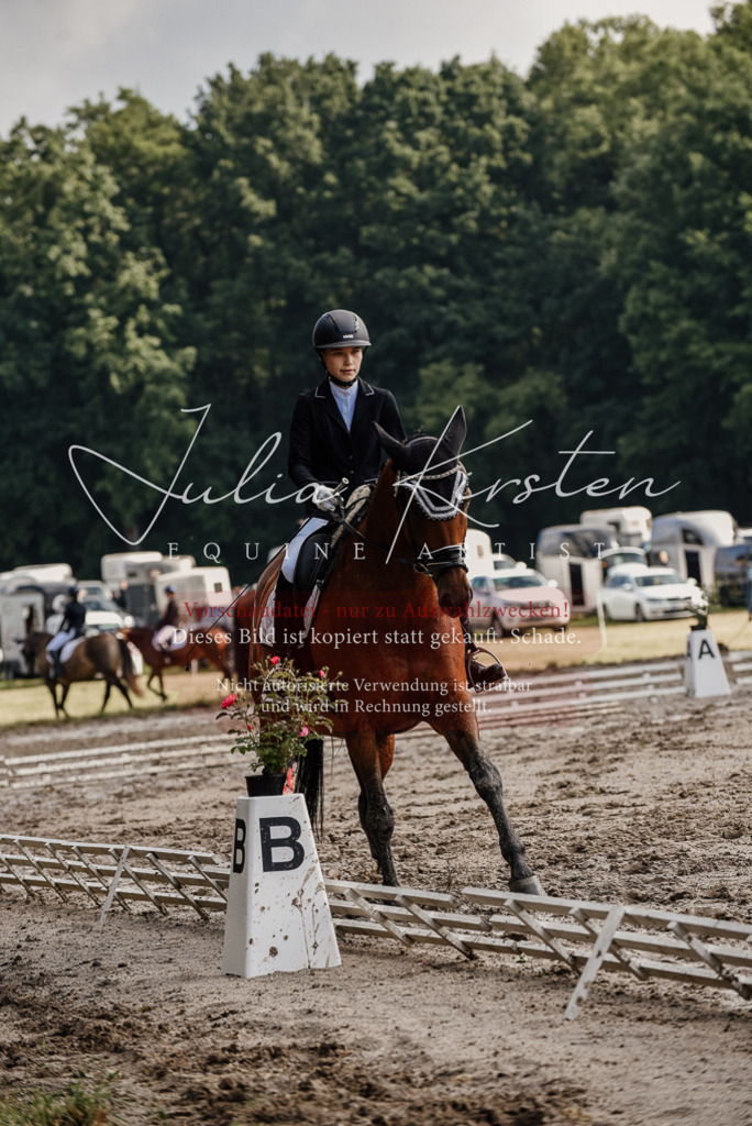 DSC_8241 | Pferde- und Turnierfotografie in Westsachsen. Pferdeportraits, Auftragszeichnungen und intuitive Kunst.