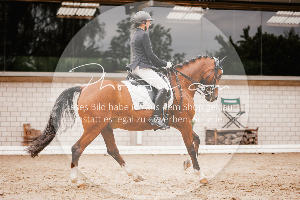 3I6A7675 | Stimmungsvolle Portraits und Reitsportfotografie im Ruhrgebiet und im Münsterland.

Pferdefotografie, Hundefotografie, Tierfotografie, Reportagen, Portraits von Tier und Mensch, Turnierfotografie in Bochum, Recklinghausen, Marl, Haltern am See, Dülmen.. - Realisiert mit Pictrs.com