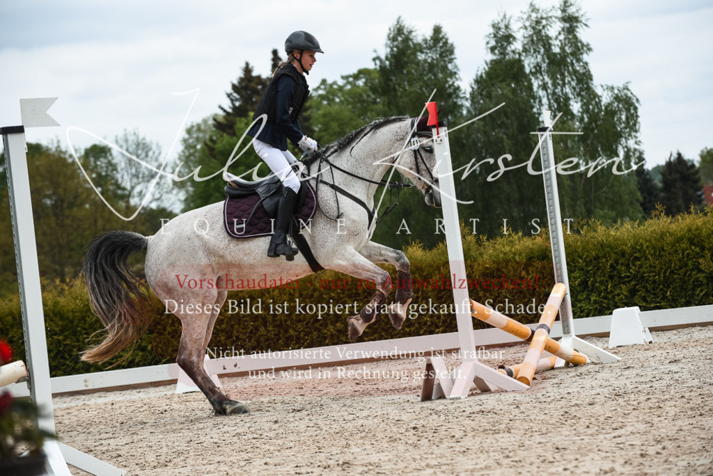20230518_JK-Röhrsdorf-10-572 | Pferde- und Turnierfotografie in Westsachsen. Pferdeportraits, Auftragszeichnungen und intuitive Kunst.