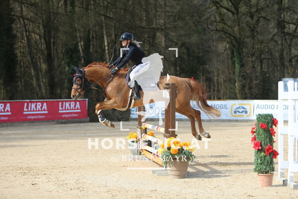 DL2Q8173 | Willkommen bei Brunnmayr - Design & Fotografie – Ihrem Spezialisten für Reitturniere und Pferdeveranstaltungen in Oberösterreich, Salzburg und Bayern! Seit über 17 Jahren sind wir leidenschaftlich dabei.