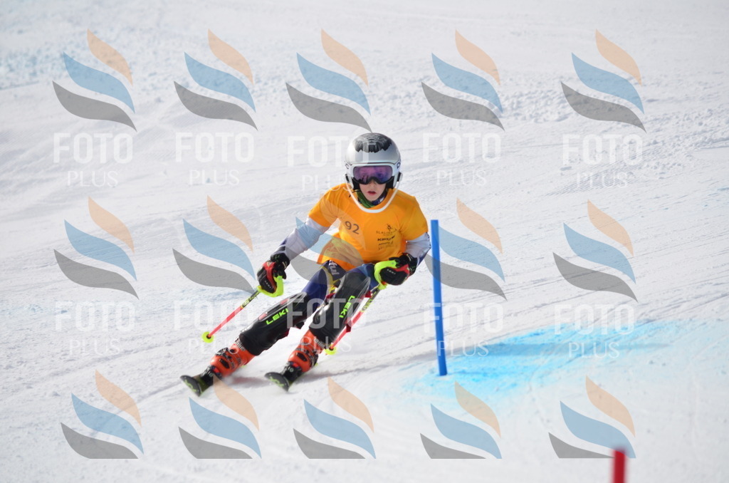 C8068 | holidayphoto