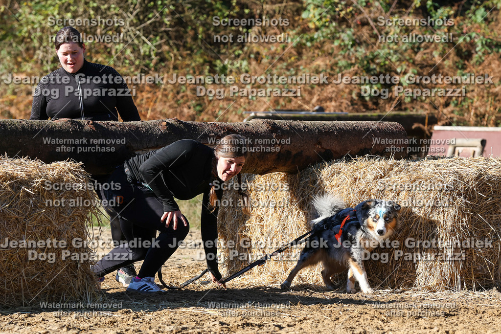 Dog Paparazzi - Strongdog 10-25-2028 | Dog Paparazzi Jeanette Grottendiek Fotografie & Videografie - Realisiert mit Pictrs.com