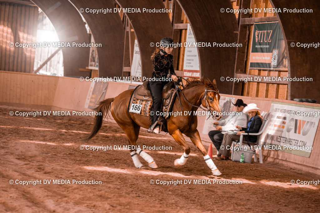 NE300751 | dv-media-shop - Realisiert mit Pictrs.com