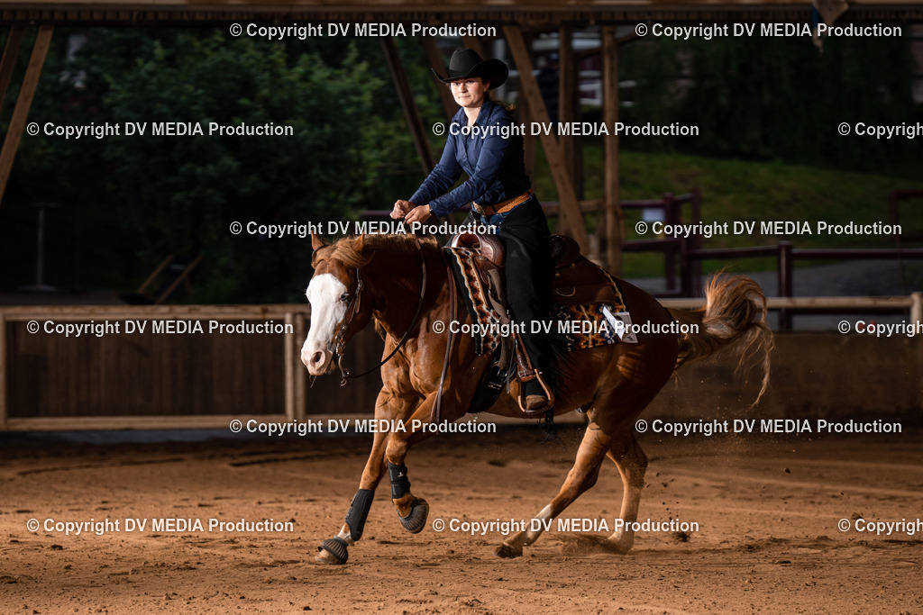 Erbach Tag 2-1125 | dv-media-shop - Realisiert mit Pictrs.com