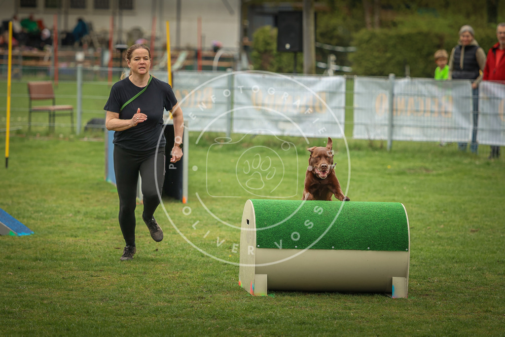 Pfotenfotografie_0L8A1865 | Hundefotografie, Tierfotograf, Pfotenfotografie, Fotoshooting Hund, Hunde Portrait, Hundesport, Hundeportraits, Heideshooting, Hunde, Sportfotograf, Hundefotograf, Turnierhundsport, THS,  - Realisiert mit Pictrs.com