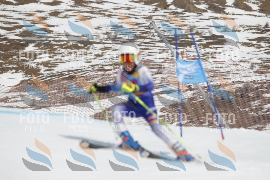 _U3G2612 | holidayphoto