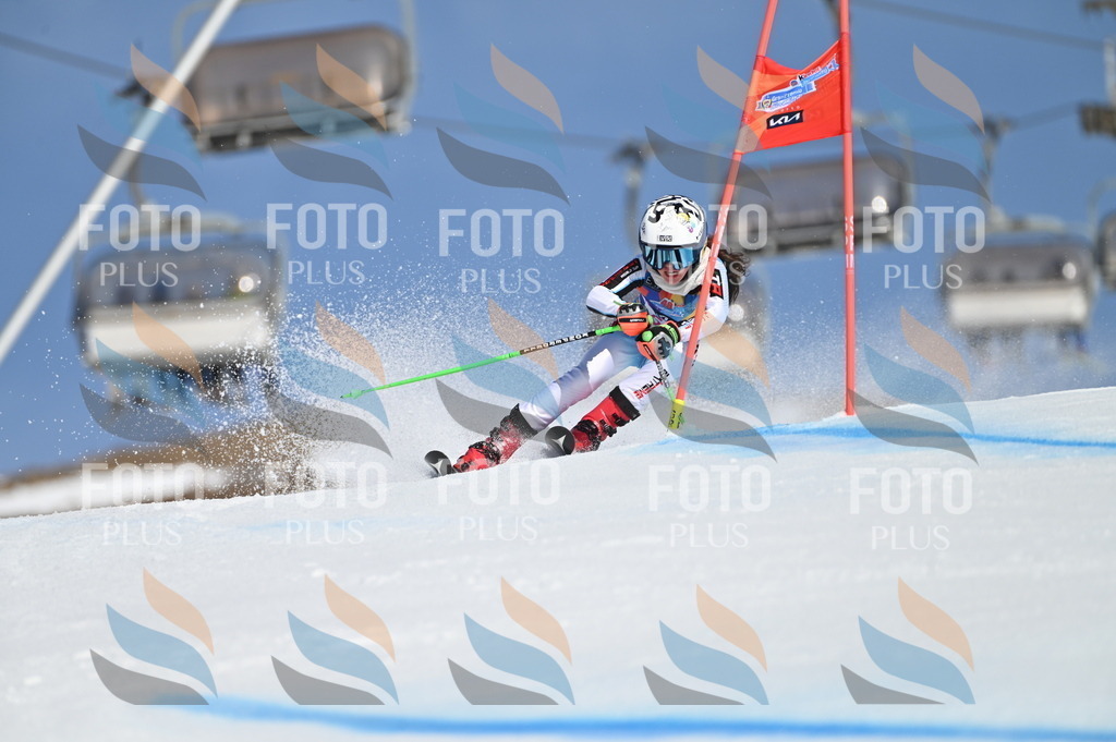 BGV_8635 | holidayphoto