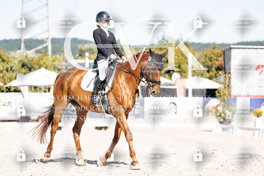CK908710 | Turnierfotografie Pferdefotografie Trier Rheinland-Pfalz Pferdesport Reitsport Tierfotografie Sportfotografie Pferdevideo Pferdevideografie Equestrianvideography equestrianphotography  - Realisiert mit Pictrs.com