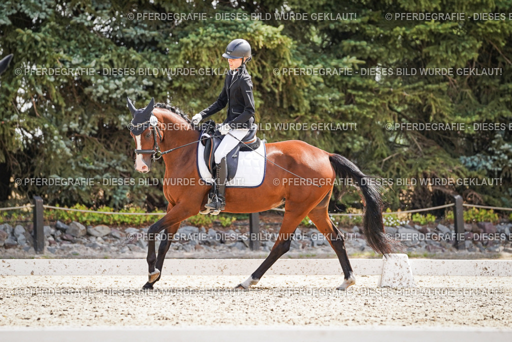 DSC08818 | Pferdegrafie