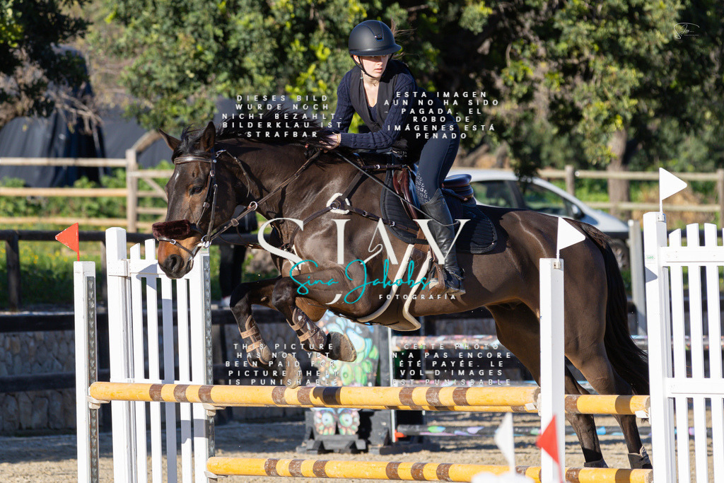 IMG_2225 | s-jay-photography - Realisiert mit Pictrs.com