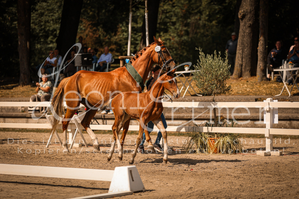 07.DoWBS00141 | Leoni Ertmer Photography - Realisiert mit Pictrs.com