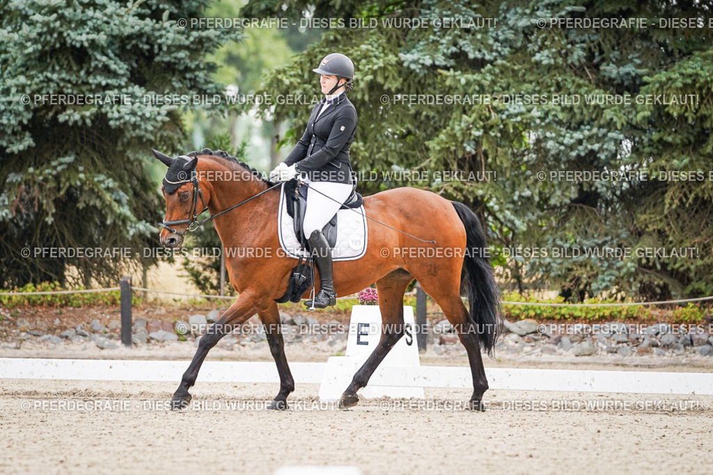 DSC01108 | Pferdegrafie