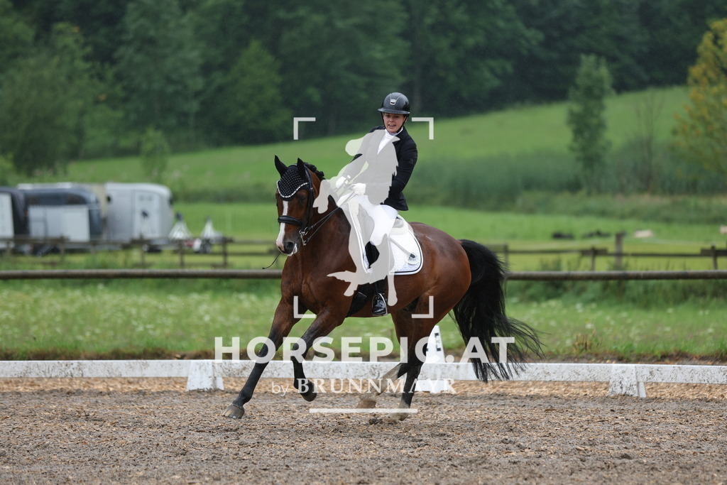 0P6A9141 | Willkommen bei Brunnmayr - Design & Fotografie – Ihrem Spezialisten für Reitturniere und Pferdeveranstaltungen in Oberösterreich, Salzburg und Bayern! Seit über 17 Jahren sind wir leidenschaftlich dabei.