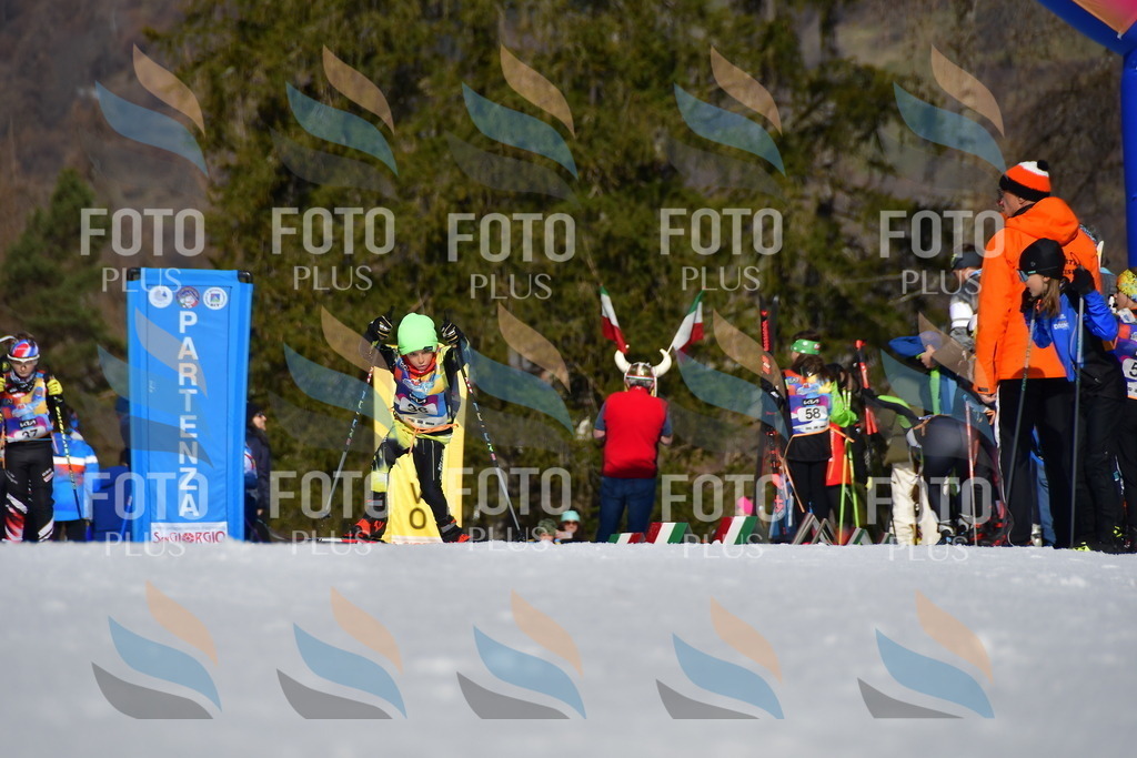 _DSC8952 | holidayphoto