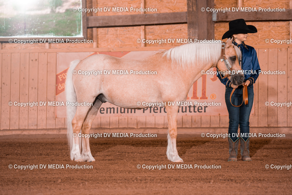 NE201528 | dv-media-shop - Realisiert mit Pictrs.com