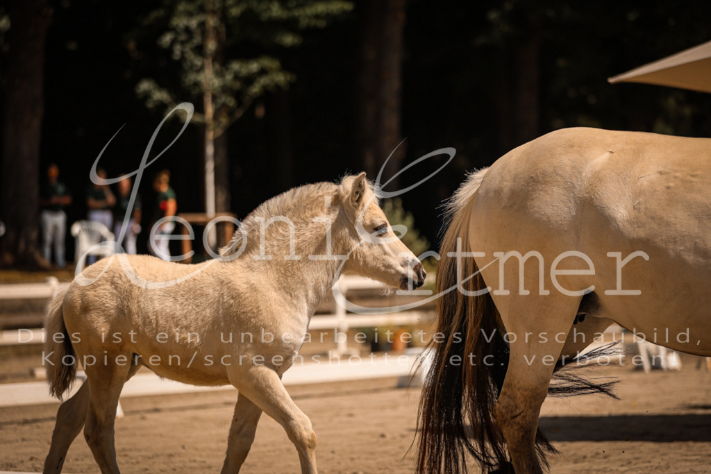 05.DoF00048 | Leoni Ertmer Photography - Realisiert mit Pictrs.com