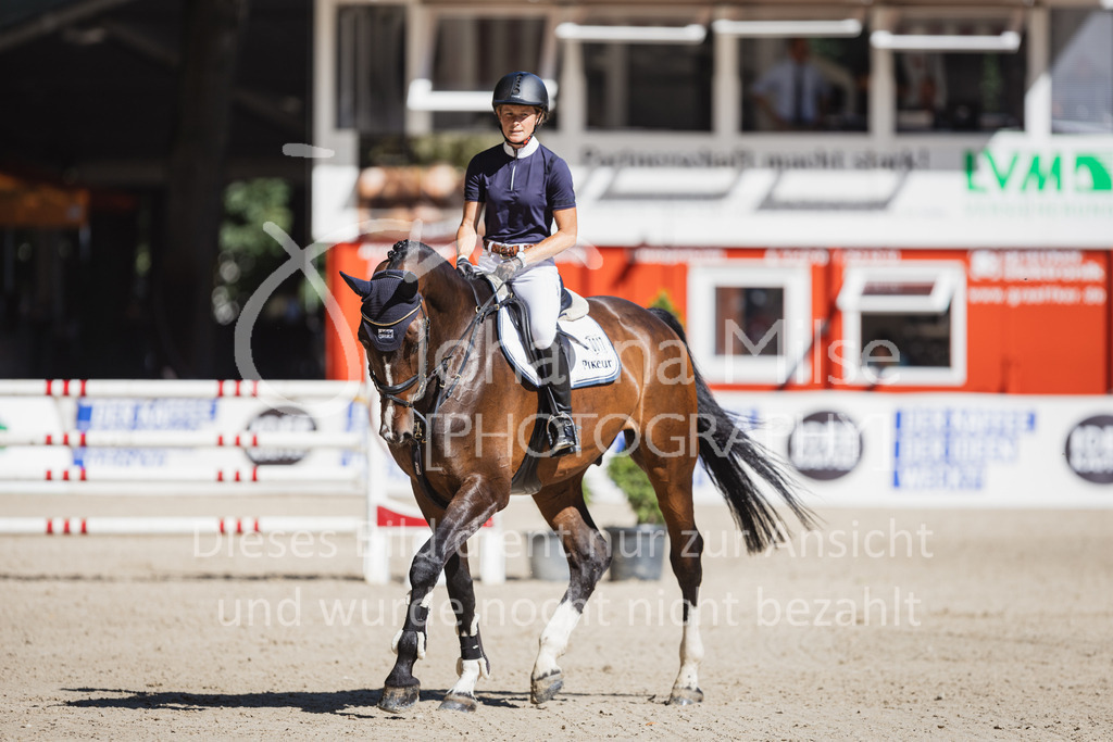 230907_OWLCh_SpringpferdeM-102 | Deine schönsten Turniermomente als professionelle Fotos! Entdecke hochwertige Pferdesport-Fotografie im Online-Shop. Jetzt Fotos finden & bestellen!