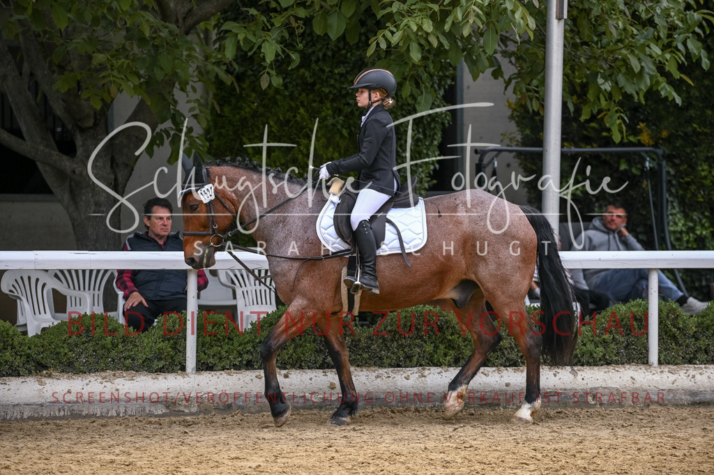 Schugtsche-Aluta25-46.ReiterWB_STG-72 | Schugtsche Fotografie - Realisiert mit Pictrs.com