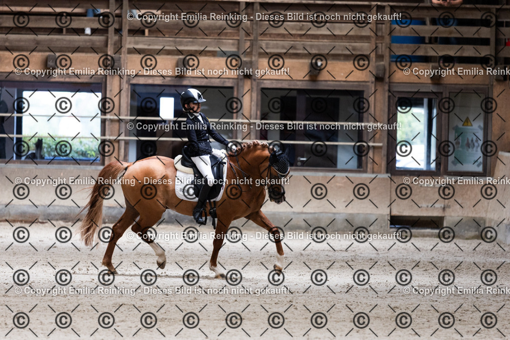 CL5A4023 | Emilia Reinking Fotografie - Realisiert mit Pictrs.com