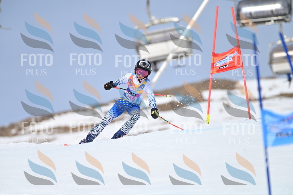 BGV_3531 | holidayphoto