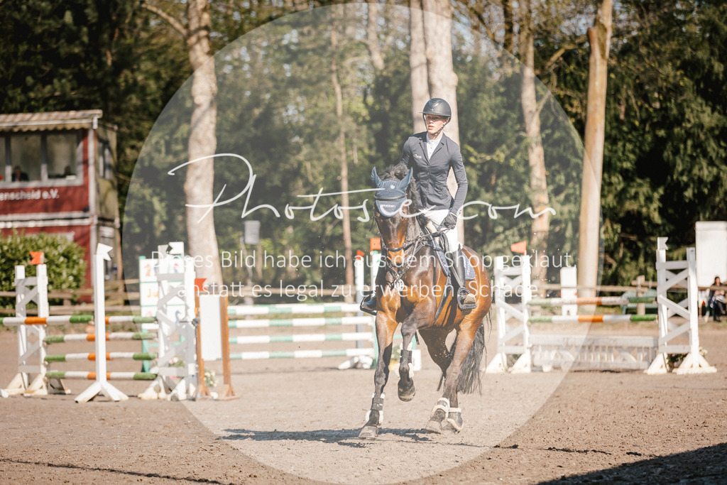 3I6A3672 | Stimmungsvolle Portraits und Reitsportfotografie im Ruhrgebiet und im Münsterland.

Pferdefotografie, Hundefotografie, Tierfotografie, Reportagen, Portraits von Tier und Mensch, Turnierfotografie in Bochum, Recklinghausen, Marl, Haltern am See, Dülmen.. - Realisiert mit Pictrs.com