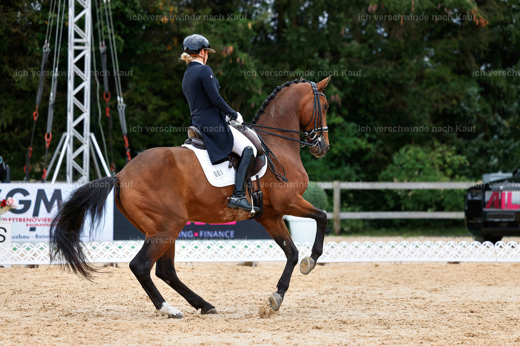 6-001-AMATUER-DRESSUR S_  -StoibPH-3553 | working equitationturnier fotograf videograf stoibphotography marixx film working equitation deutschland reitsport turnierfotografie eventfotografie equestrian events