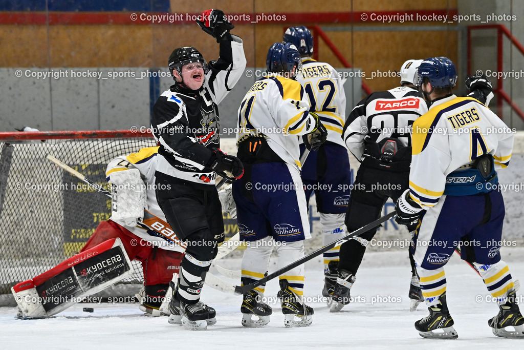 EC Tigers Paternion vs. Tarco Wölfe II | Tor Marco Wölfe II, #8 Konrad Simon Tarco Wölfe II, #11 Ott Marcel EC Tigers Paternion, #12 Steiner Domenik EC Tigers Paternion, #25 Slamanig Paul Tarco Wölfe II, #4 Wolf Marlon EC Tigers Paternion, EC Tigers Paternion vs. Tarco Wölfe II, EC Tigers Paternion vs. Tarco Wölfe II am 19.12.2024 in Spittal an der Drau (Eissportzentrum Spittal), Austria, (Photo by Bernd Stefan)