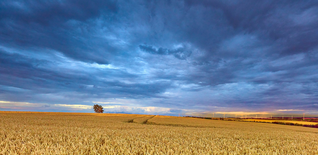 Lommatzsch Graue Wolken mit rotem Sonnenschein | Fotos als Raumschmuck - Realisiert mit Pictrs.com
