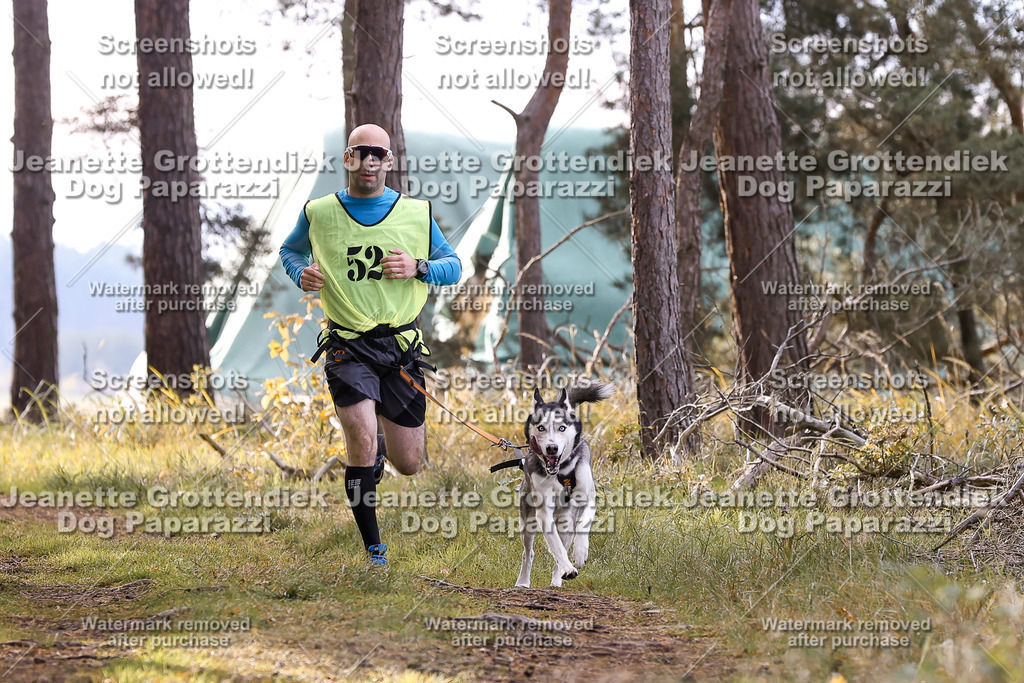Dog Paparazzi - Elsholz 25 -193 | Dog Paparazzi Jeanette Grottendiek Fotografie & Videografie - Realisiert mit Pictrs.com