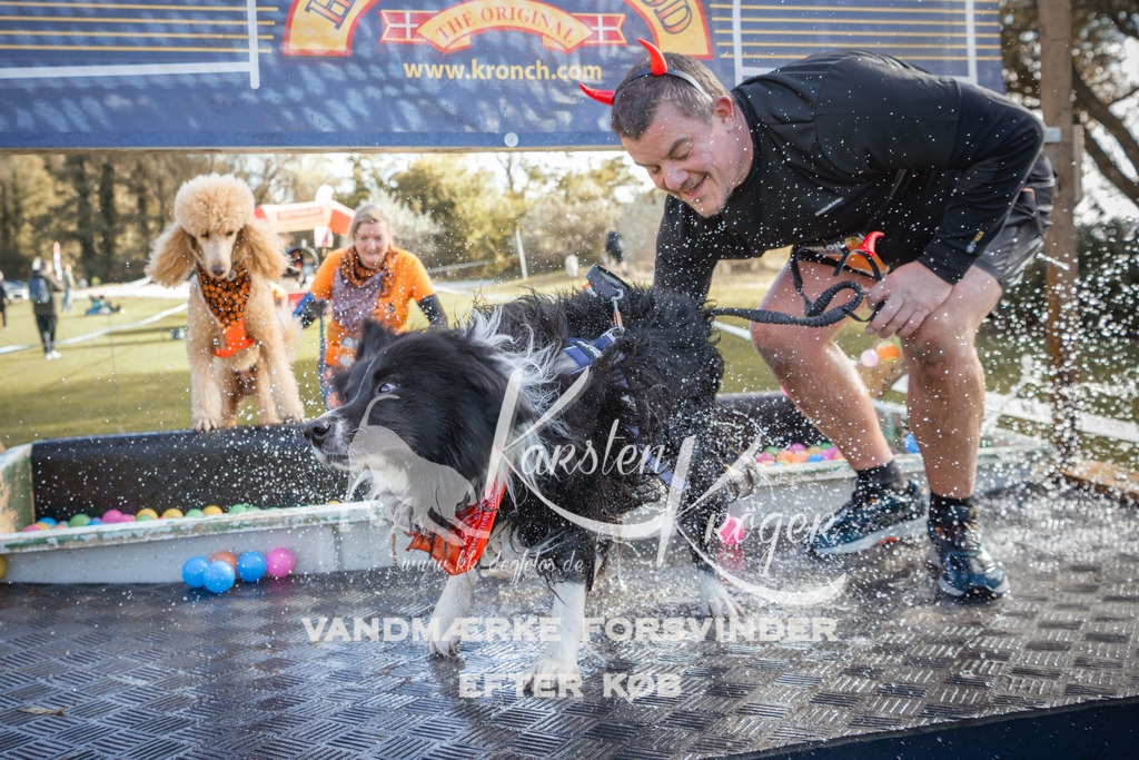 1307_ZZ99156-2 | kk-dogfotos
