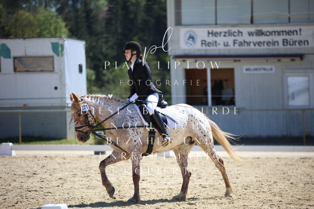 IMGT0666 | pl-fotografie