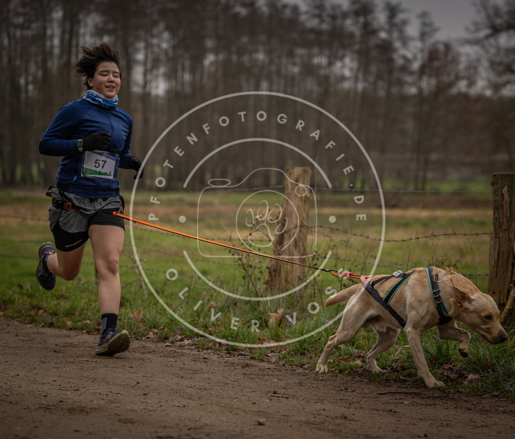 Pfotenfotografie_DV3A3129 | Hundefotografie, Tierfotograf, Pfotenfotografie, Fotoshooting Hund, Hunde Portrait, Hundesport, Hundeportraits, Heideshooting, Hunde, Sportfotograf, Hundefotograf, Turnierhundsport, THS,  - Realisiert mit Pictrs.com