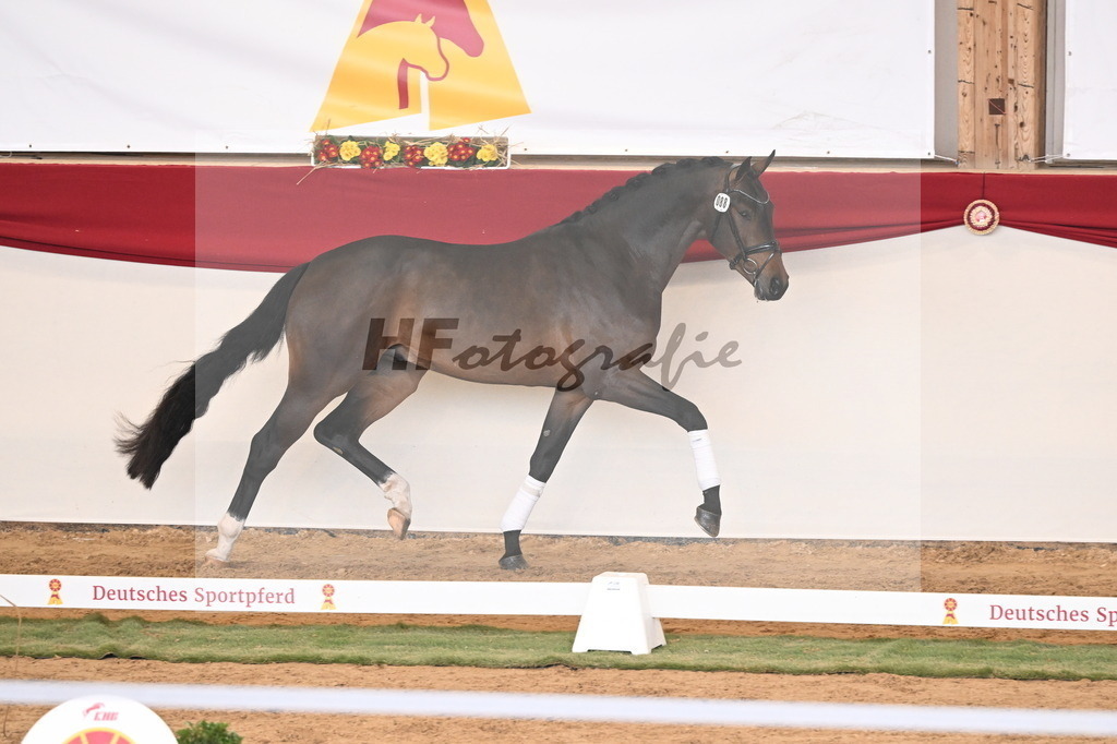 Kat.-Nr. 88 v. Zackerey_Rakelbusch_3261307 | hf-fotografie - Realisiert mit Pictrs.com