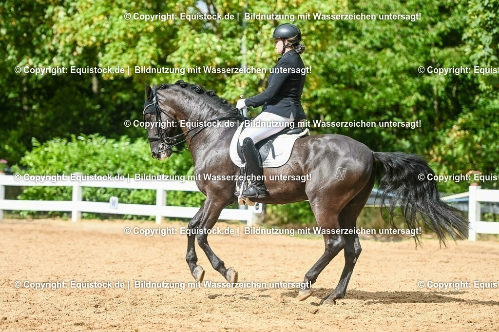 20230716_01_Dressurprüfung Kl.M_0585 | equistock